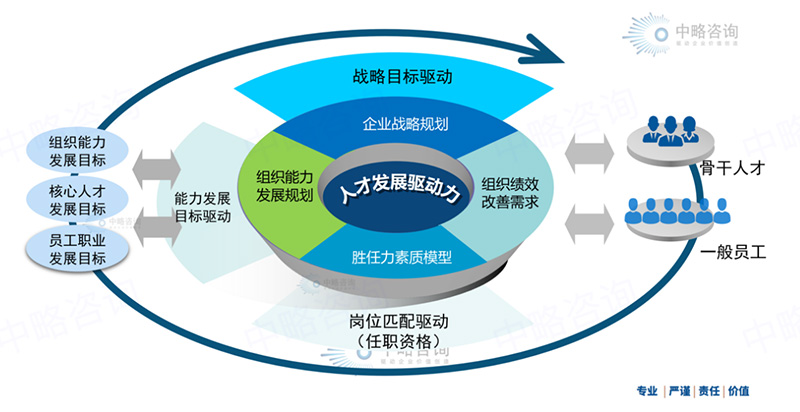 人才發展驅動力模型