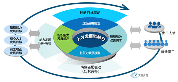 人才發展驅動力模型