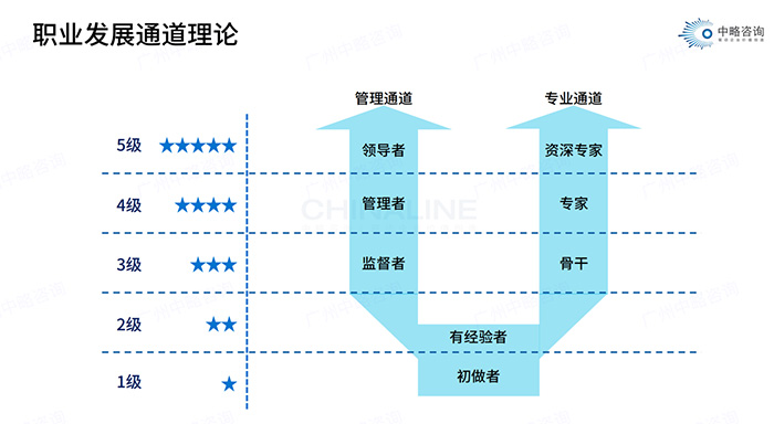 職業發展通道理論